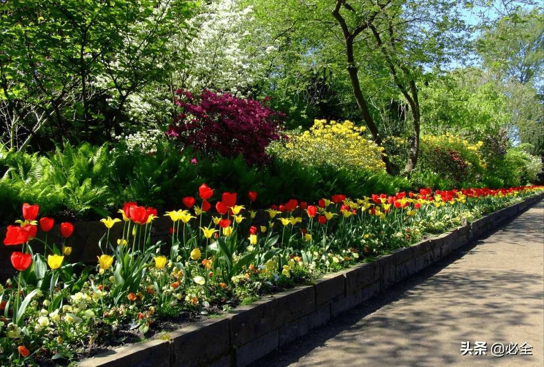 植物设计中花卉灌木植物色块的应用处理