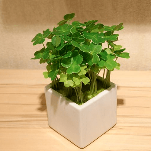 植树节,种祝福,好运非你莫"树"!