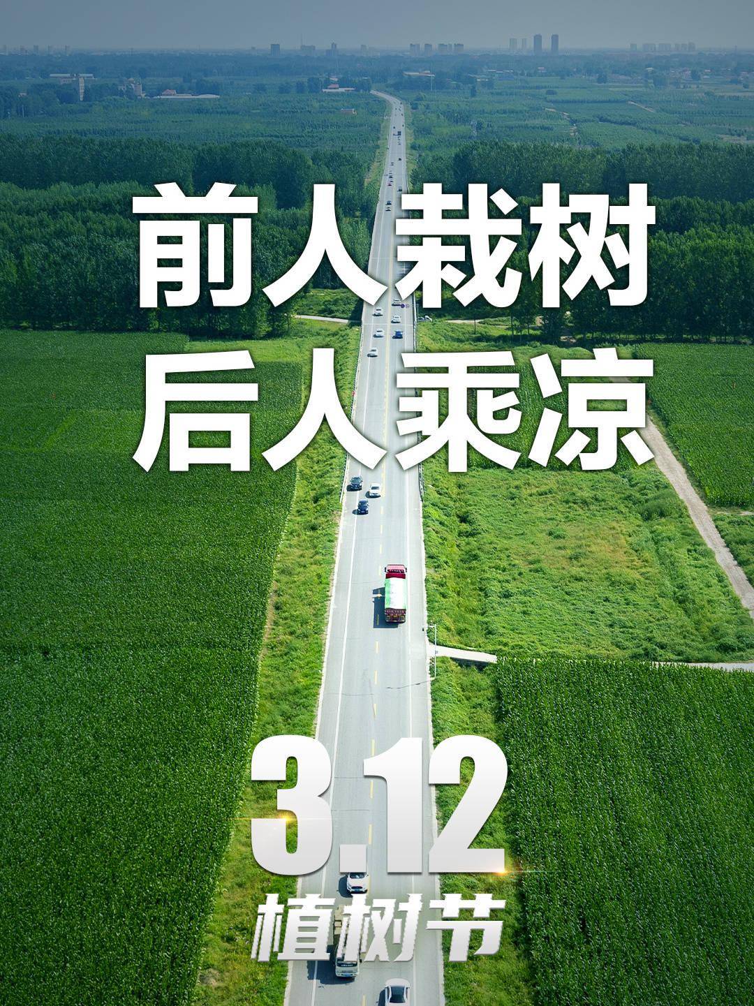 海报前人栽树后人乘凉这些绿色真美