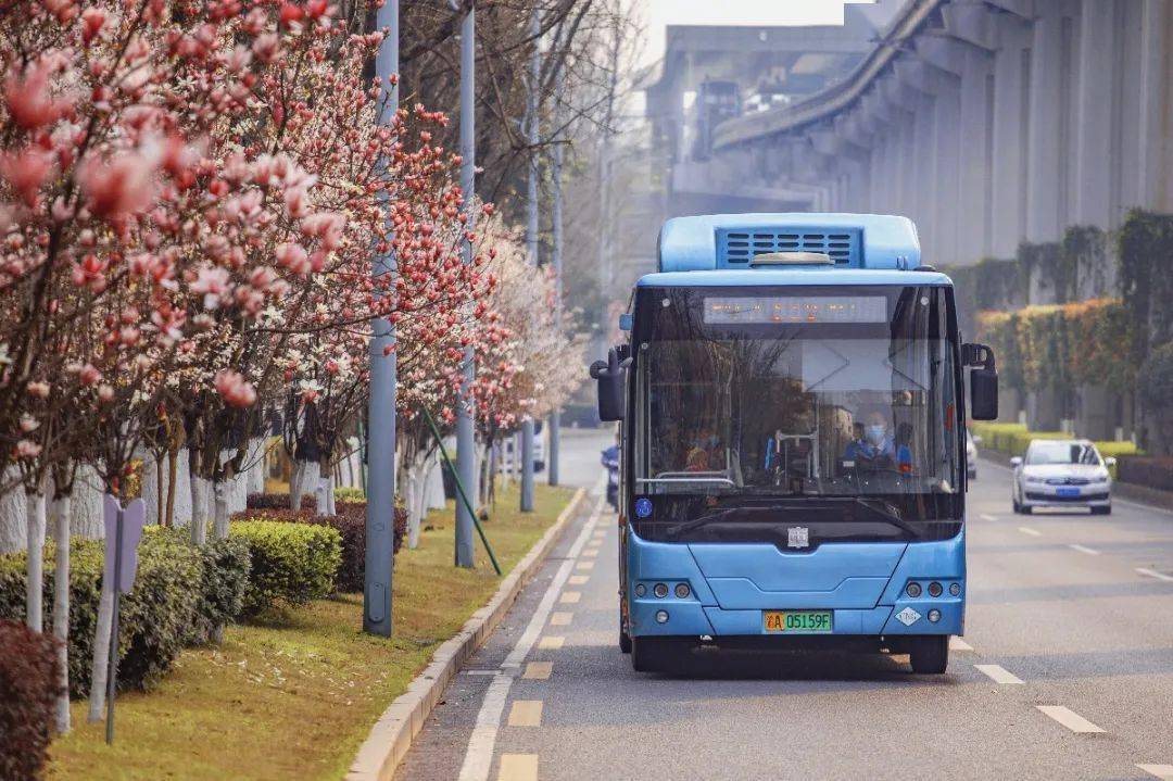 重庆公交 重庆交通开投集团供图