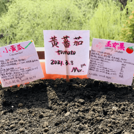 今天杭州多所中小学都在做这件事