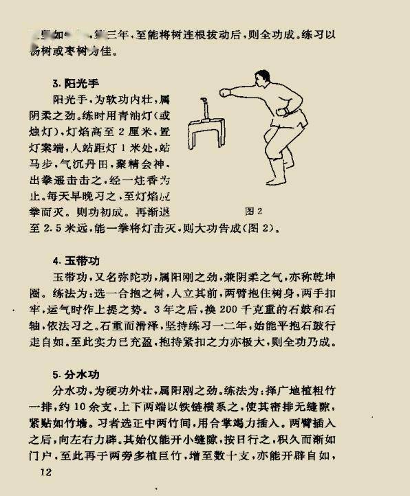 少林秘功十二法