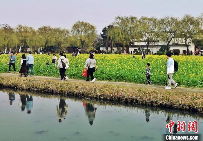 上海民众开启踏青赏花模式 户外享受三月春光