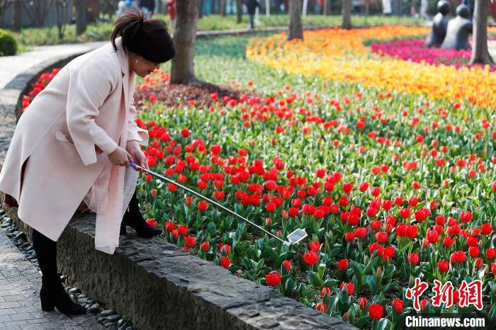 上海：民众户外赏花感受生活