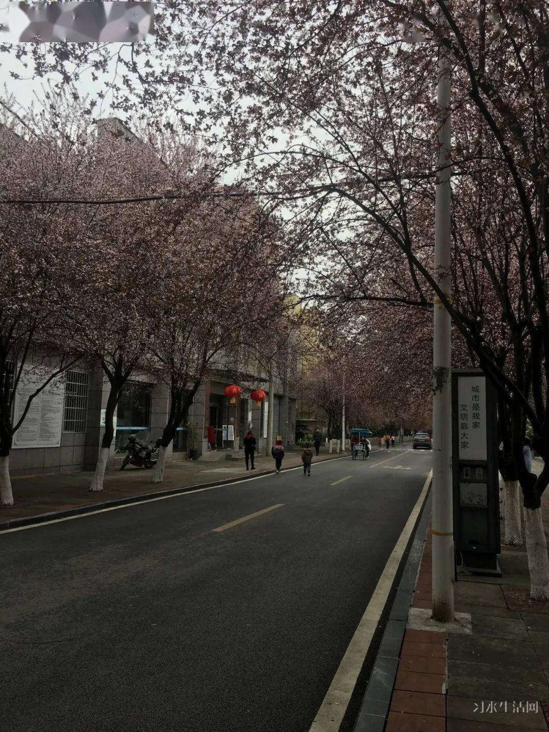 习水有没有疫情