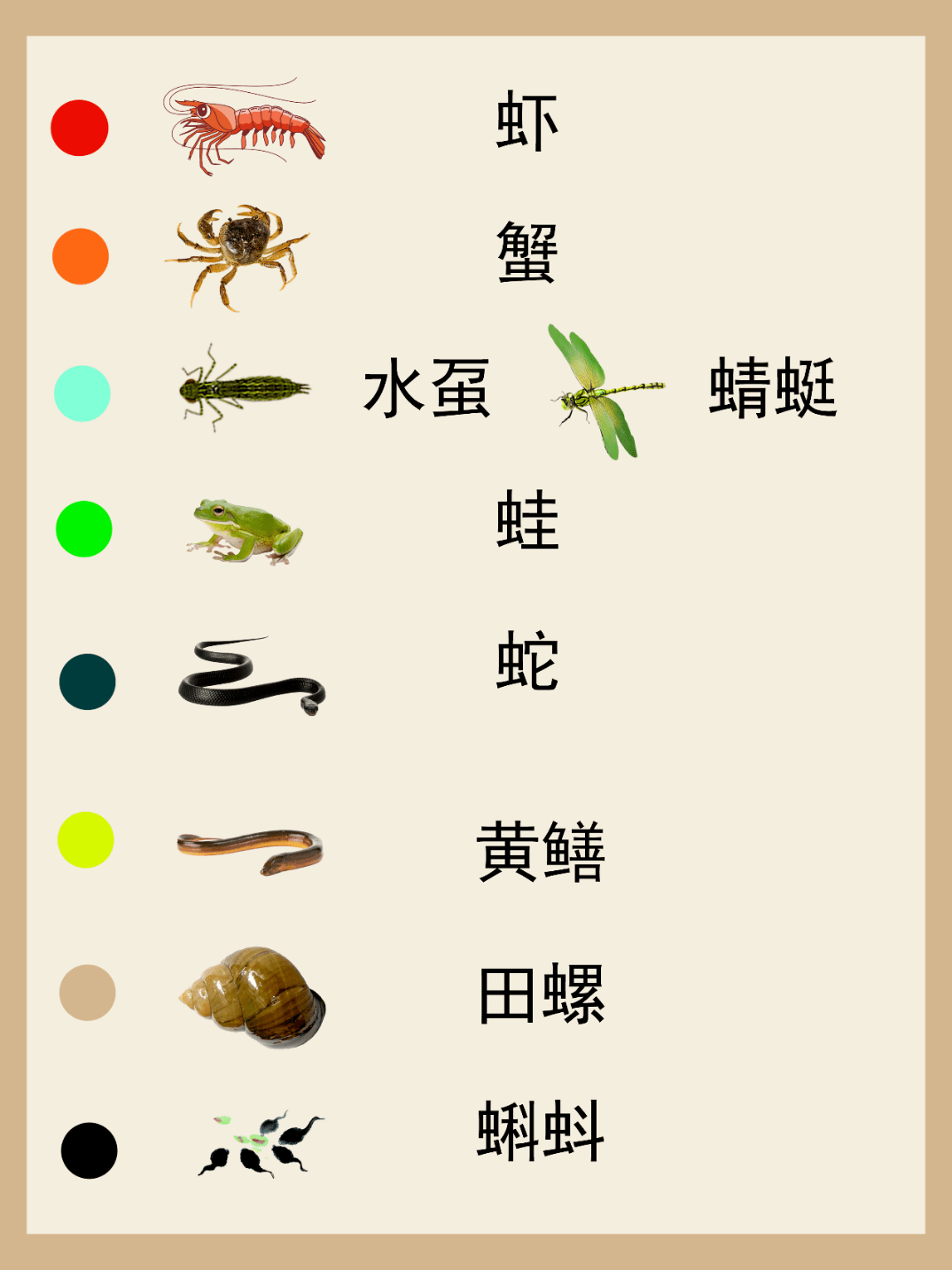 新风鳗鲞食物语资料图片