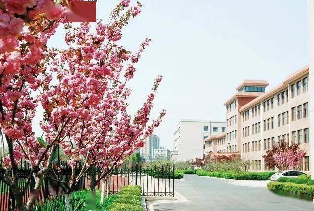 半岛带你云看校大连市大连湾中学做阳光教育享教育阳光