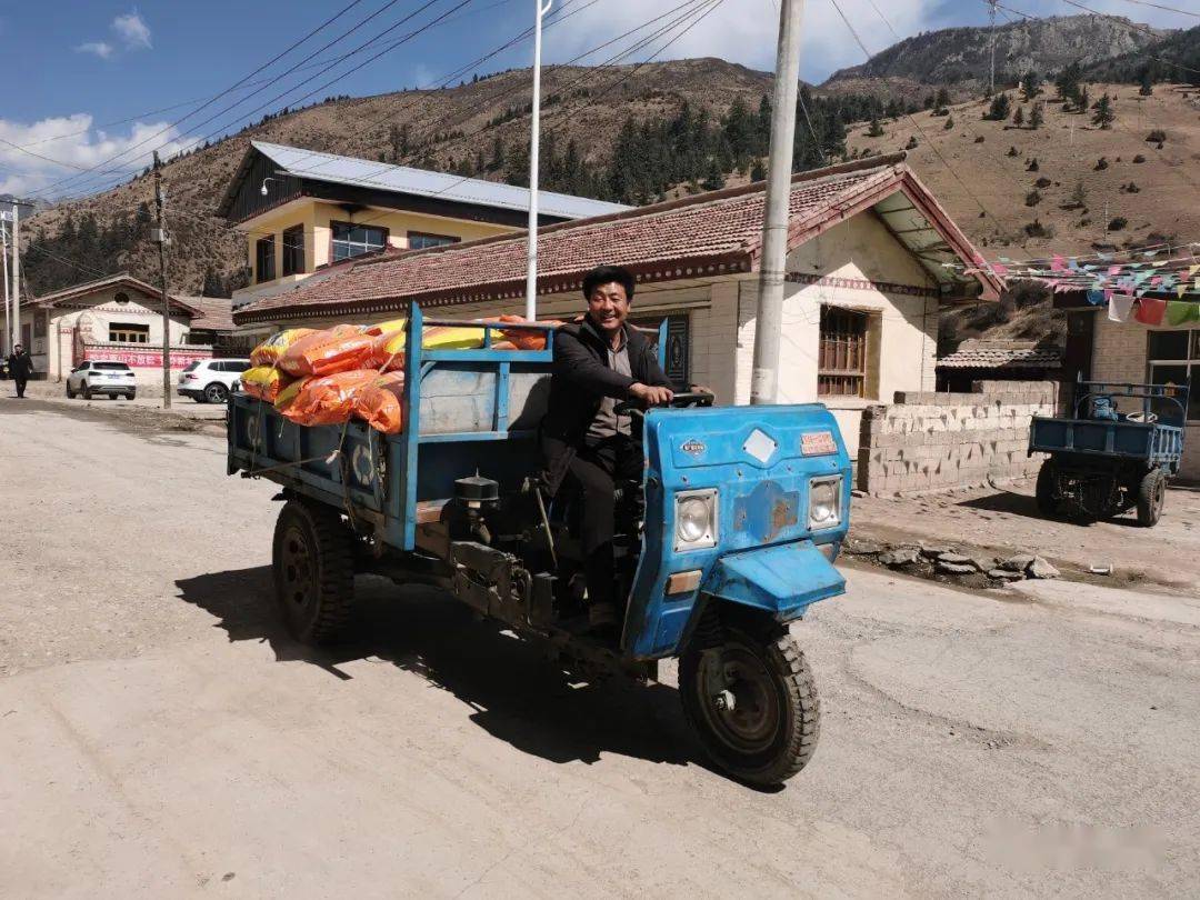 【五无甘南·秘境卓尼】康多乡以有机肥替代化肥为抓手 实现绿色种植