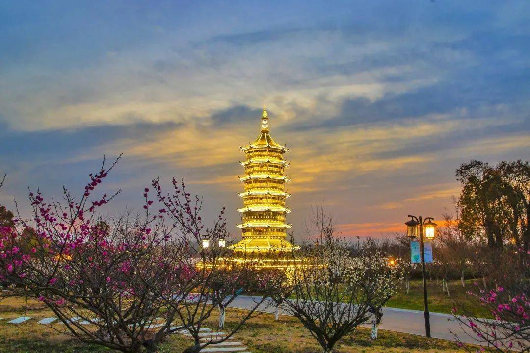 美丽宿城丨梅园春色惹人醉_新李