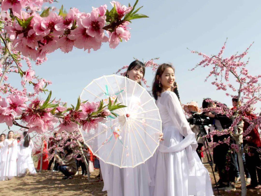 收藏!叶县第四届桃花节即将开幕(附全域赏花攻略)