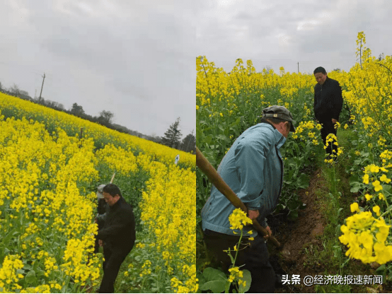 秋溪镇上阳人口_人口老龄化图片