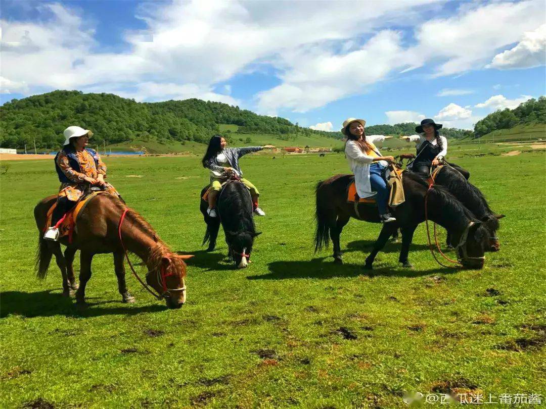 3月27日关山草原正式开园!骑马,射箭,滑草.让你爱上大草原的春天!
