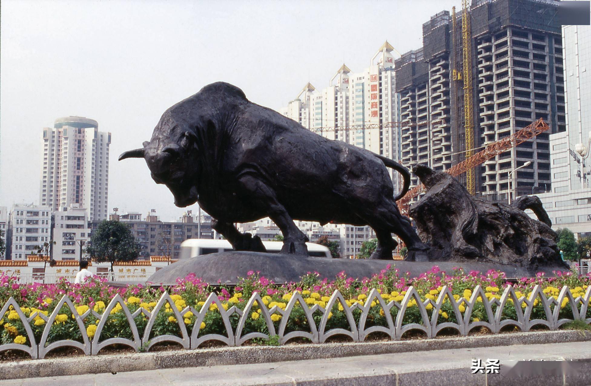 深圳开荒牛照片图片