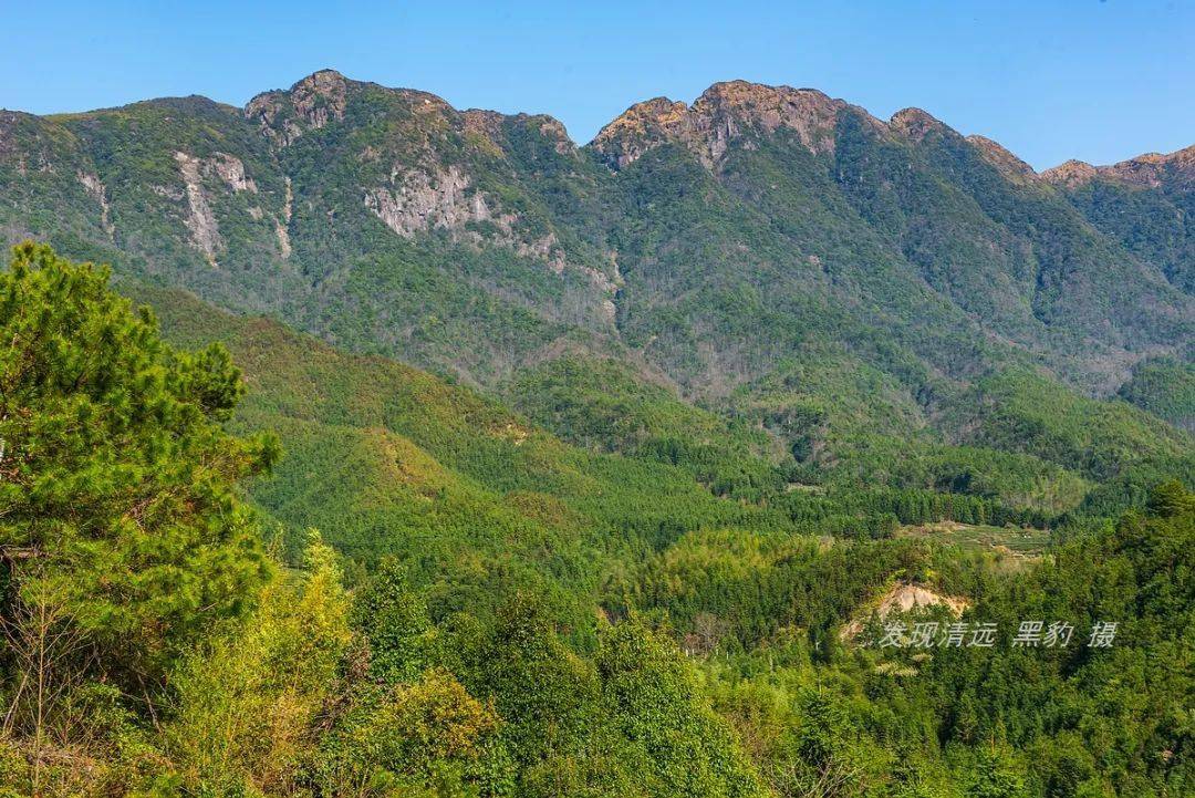 輕鬆登頂廣東石公山意外邂逅大片高山杜鵑林