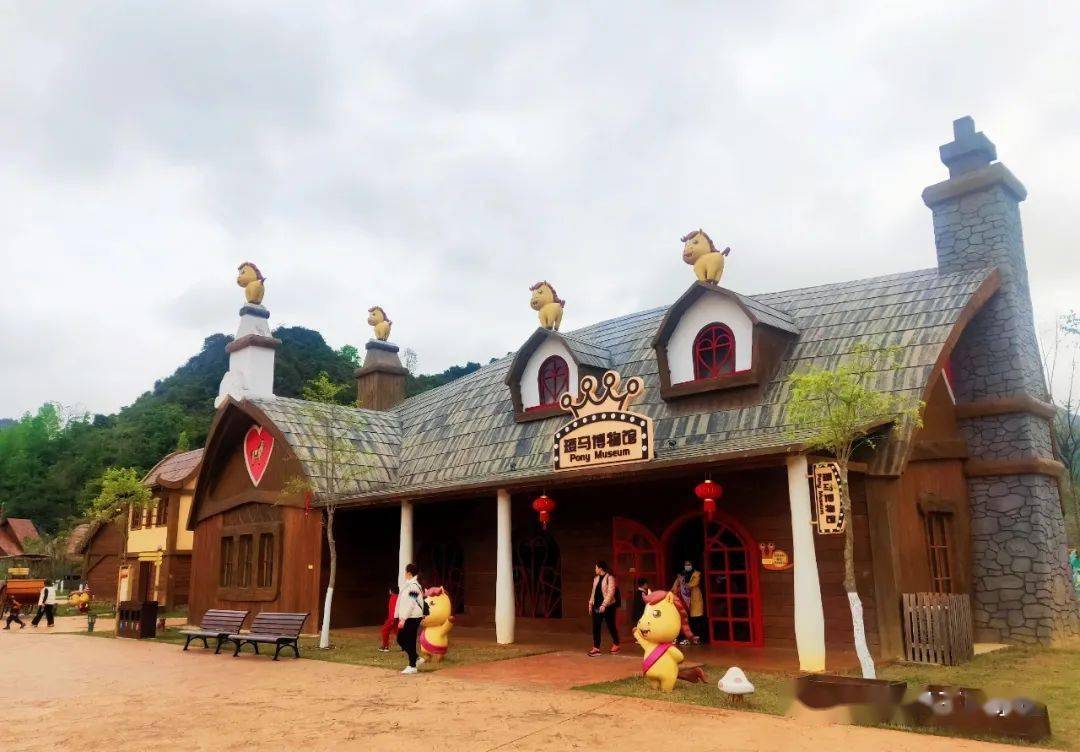 首批市级中小学生研学实践教育基(营)地系列展示之三——德保矮马王国