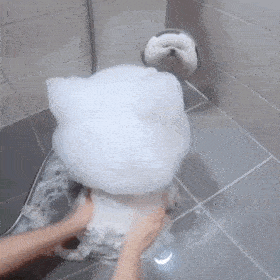 聊天表情包 | 动态狗子表情包-03