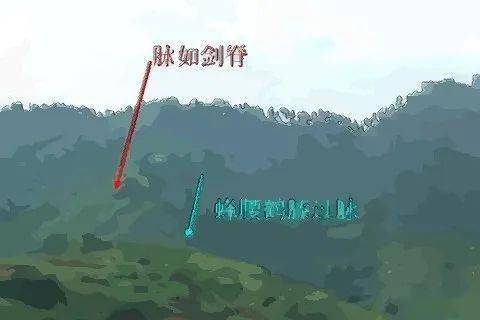 坟上立坟柱好不好