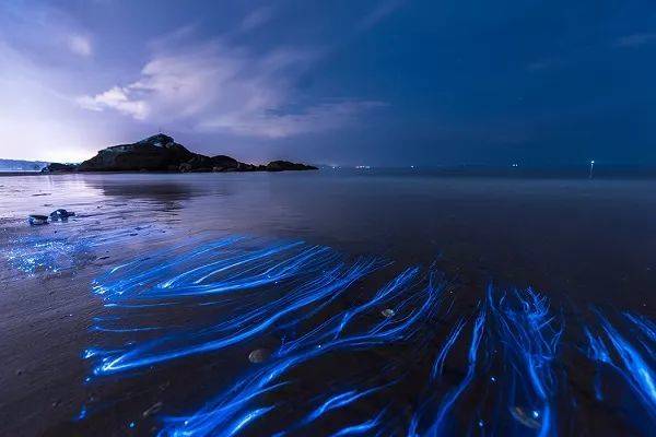 美到尖叫的蓝色梦幻海洋：见证星空“坠入”海洋的奇景！
