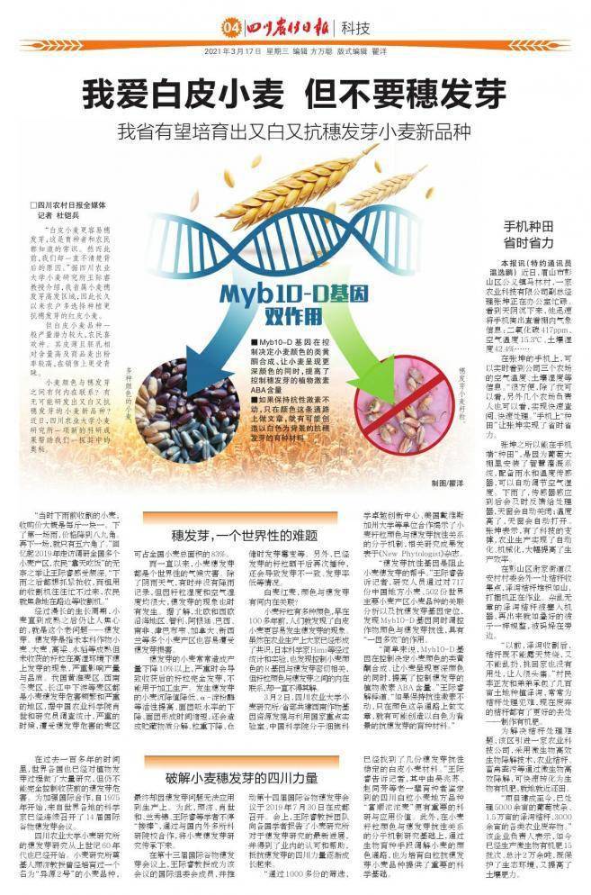 手机种田省时省力 秸秆