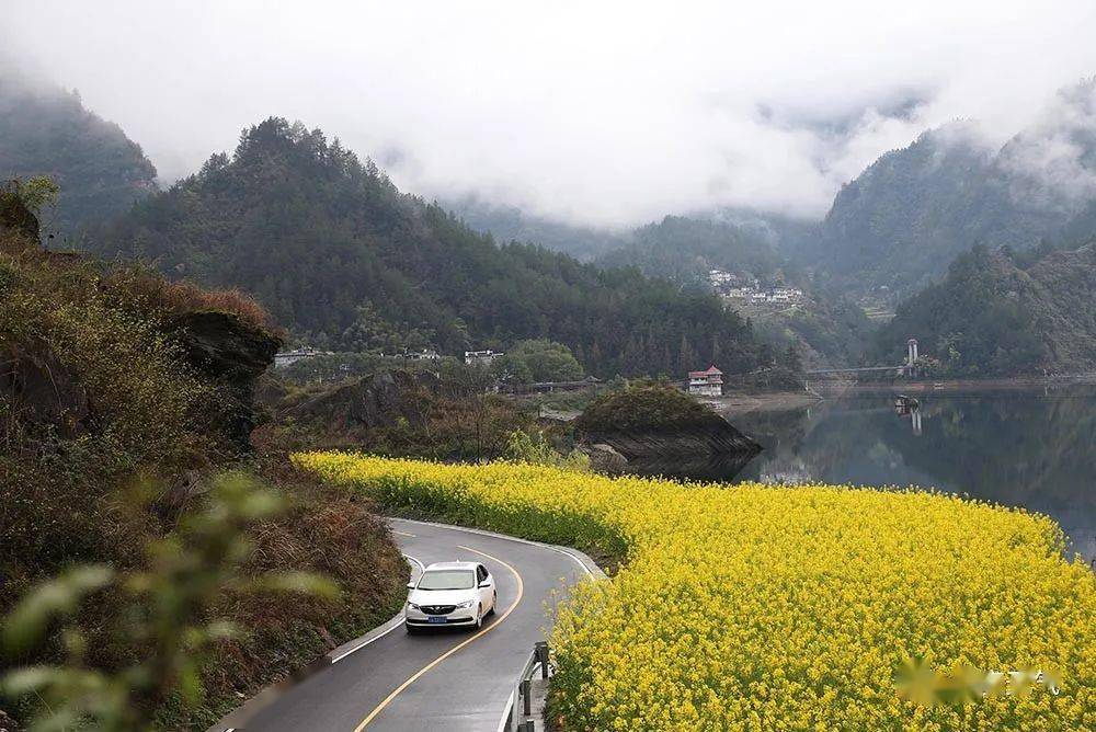 美圖| 重慶黔江油菜花掩映小南海 湖光山色美如畫_風景區