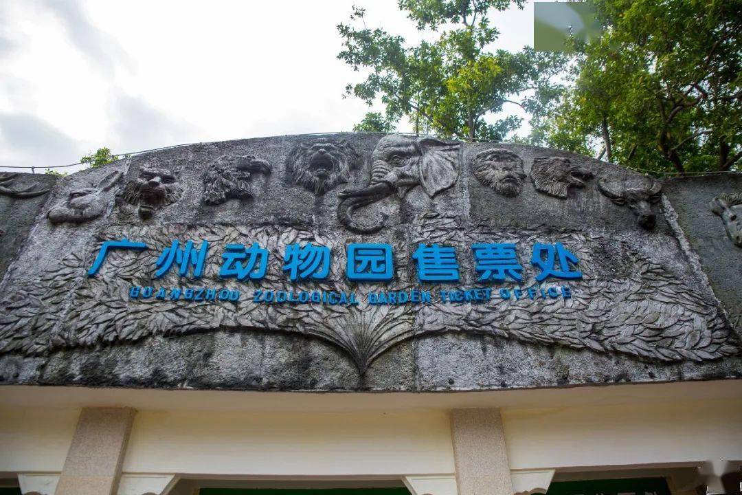 63岁的广州动物园几代人童年回忆再一次提意搬迁