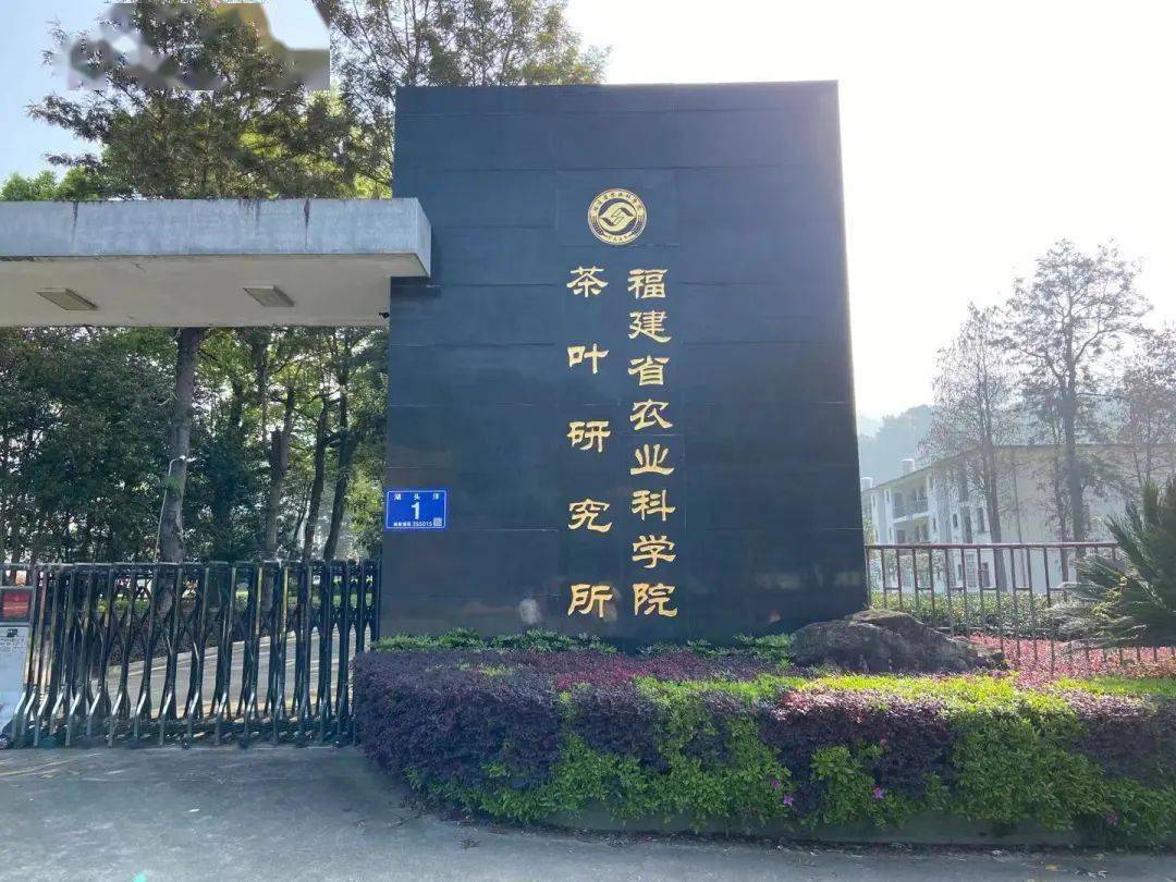 福建省农科院的品种园：一些反常理的事正在悄然发生！