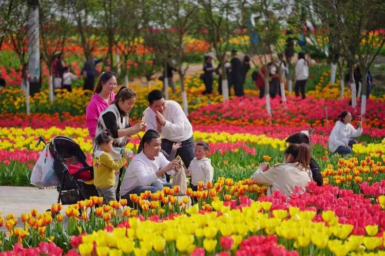 重庆人快去春游吧！近80处赏花点、150余项春季文旅活动等你来