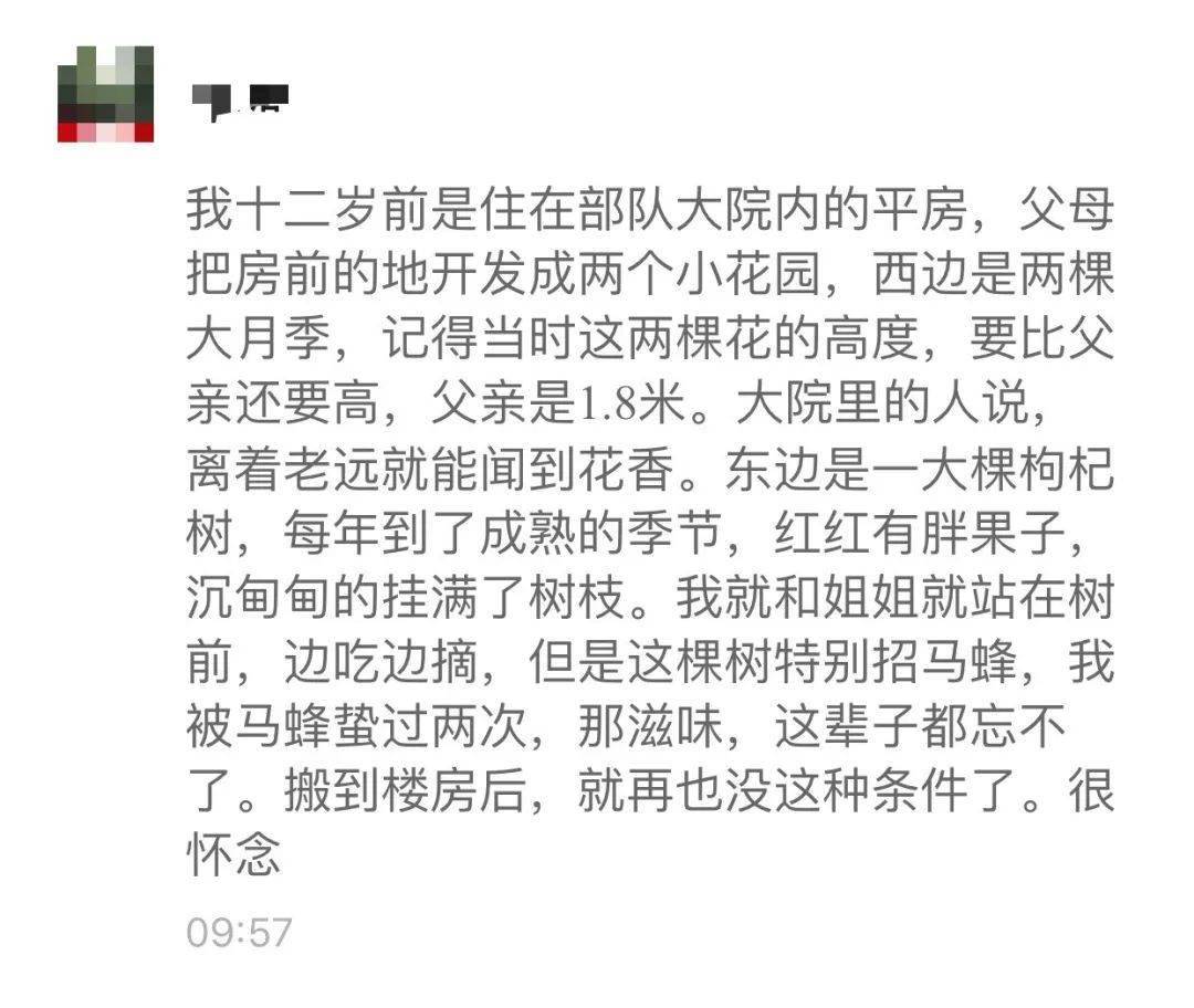 葡萄树简谱_阿门阿前一个葡萄树音乐电子琴简谱歌谱(2)