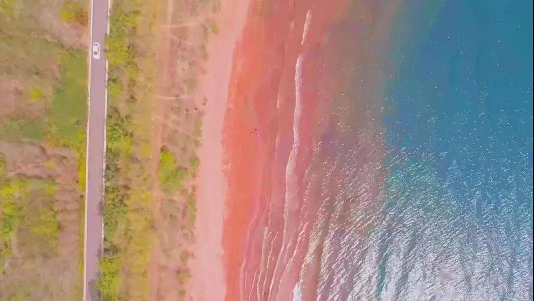 澄江粉色沙滩图片