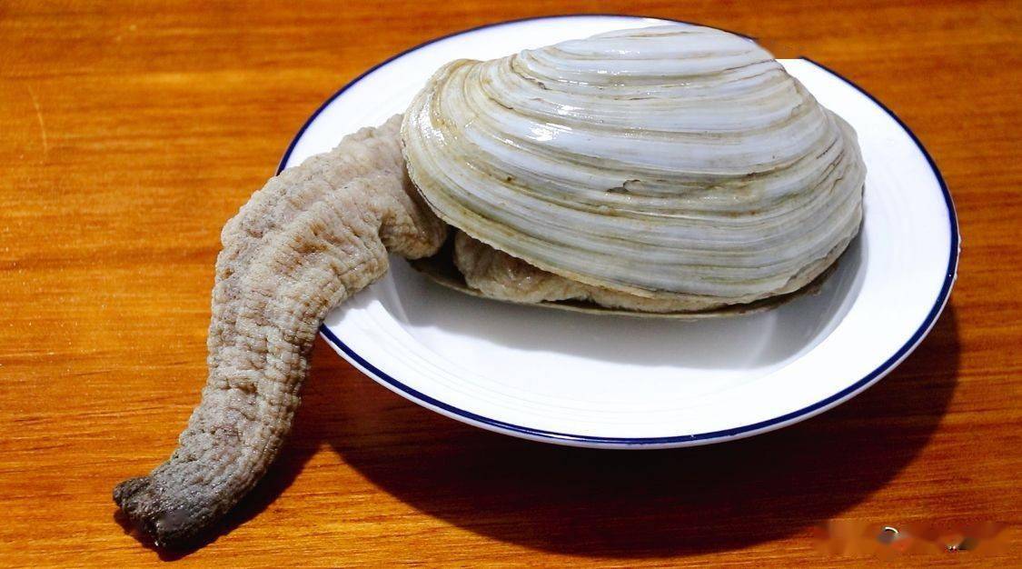 做象拔蚌记住这个步骤配上春天的韭菜和豆芽好吃到起飞