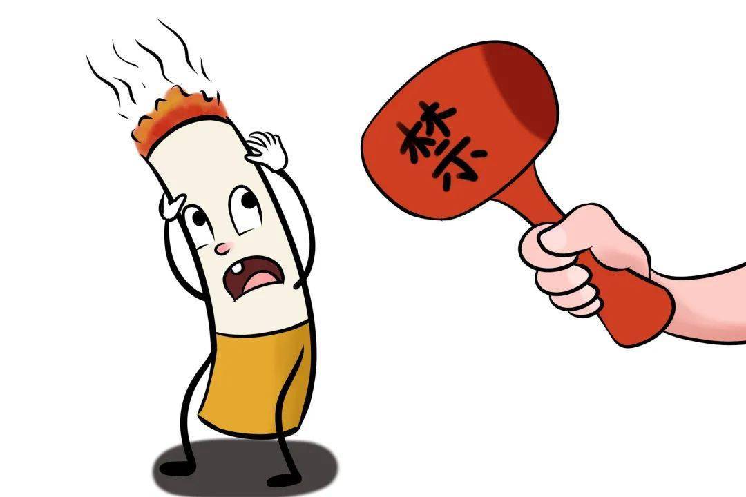 如何逆转中度脂肪肝 2407e4cd2f52441885cc185b16557265.jpeg