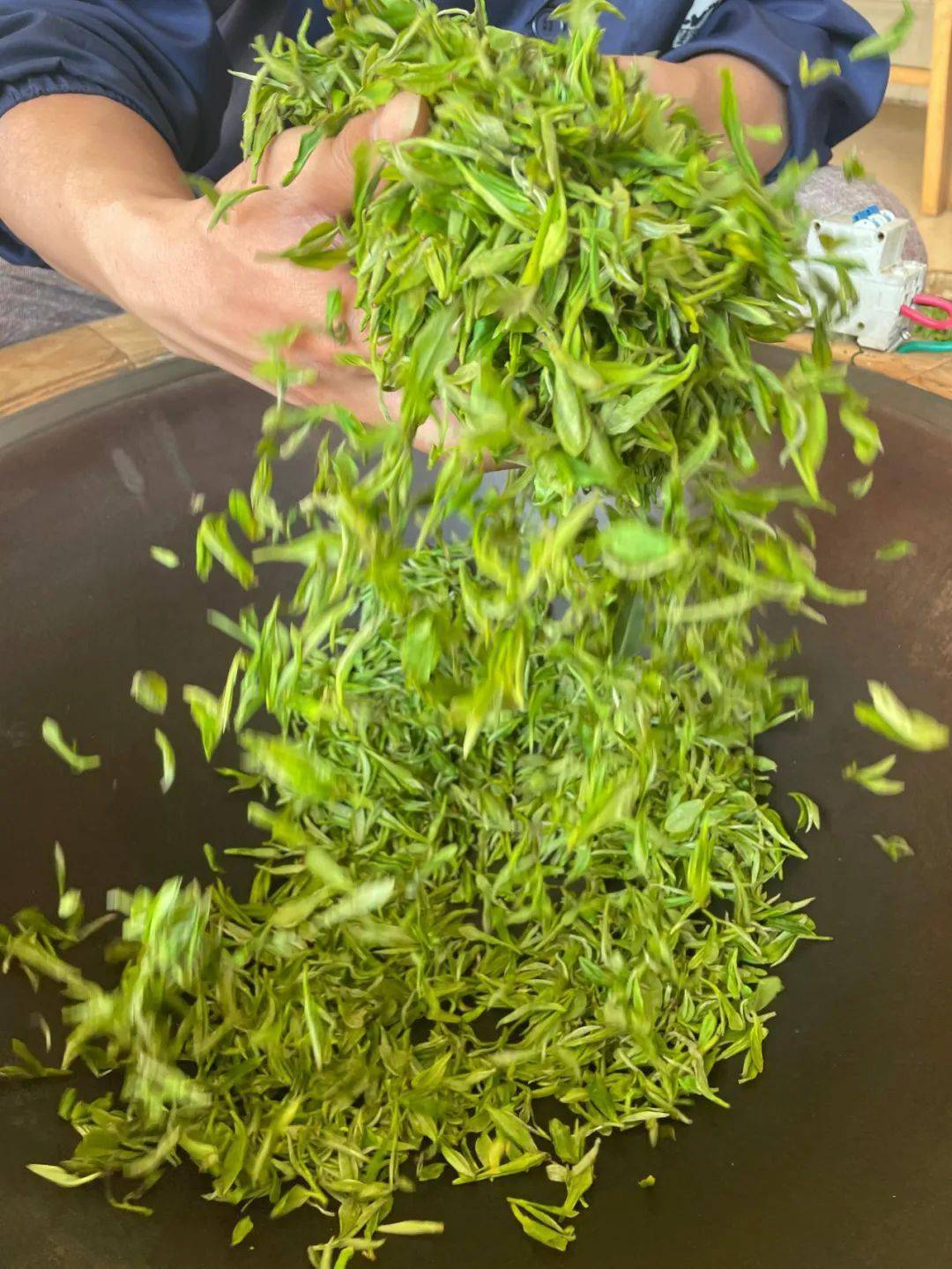 手工炒茶体验活动来了,带上孩子一起来参加吧!_兴义