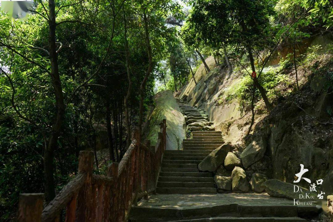 全年免费来大渡口森林公园让我们一起躺赢