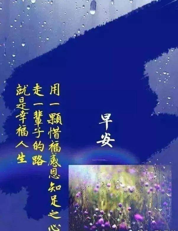 特别漂亮的早安图片祝福语录大家早晨好图片唯美带字 朋友