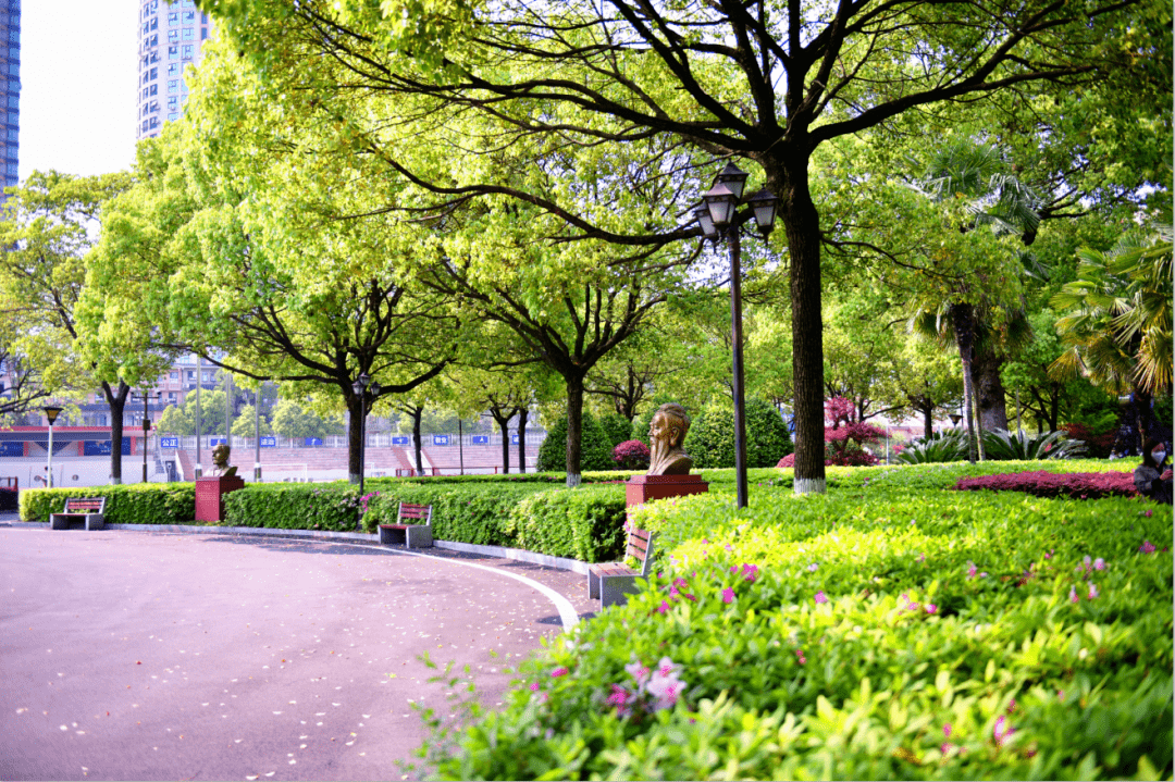 湖南这些校园的春景美"醉"了!快来看看有你的母校吗?