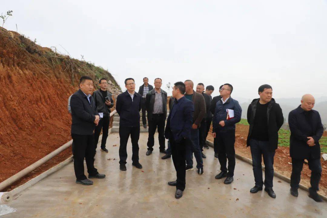 林昌富调研指导油茶产业和林下经济发展工作