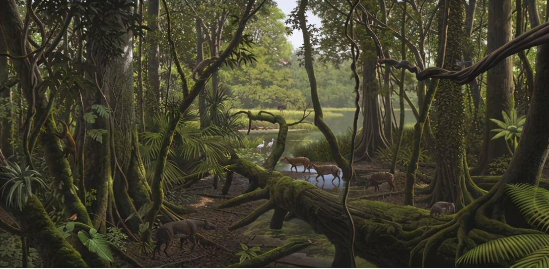 世界最长的蛇有多长?它在5500万年前出现过,以史前鳄鱼为食-搜狐大视