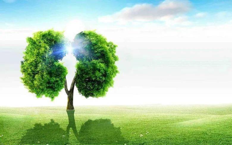 世界防治结核病日终结结核流行自由健康呼吸