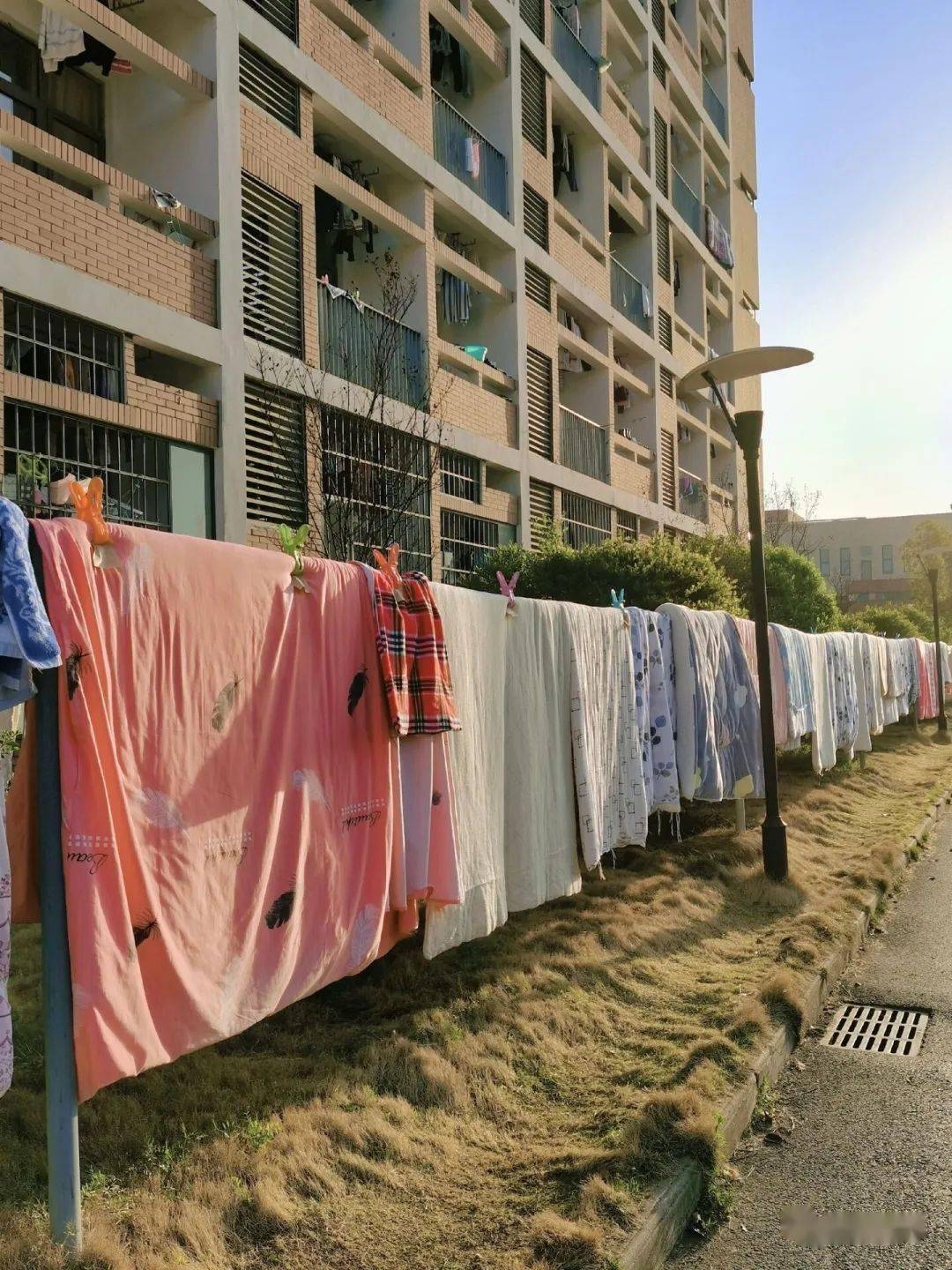 晒| 你参与了吗?_被子