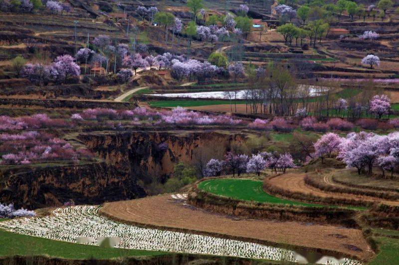 乡野春色图片