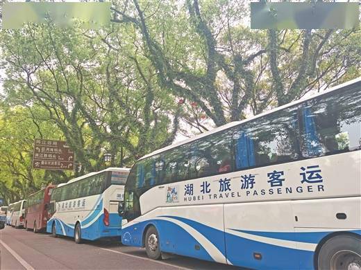 桂林旅游持续升温，业内人士：避免低价竞争，靠品质赢口碑