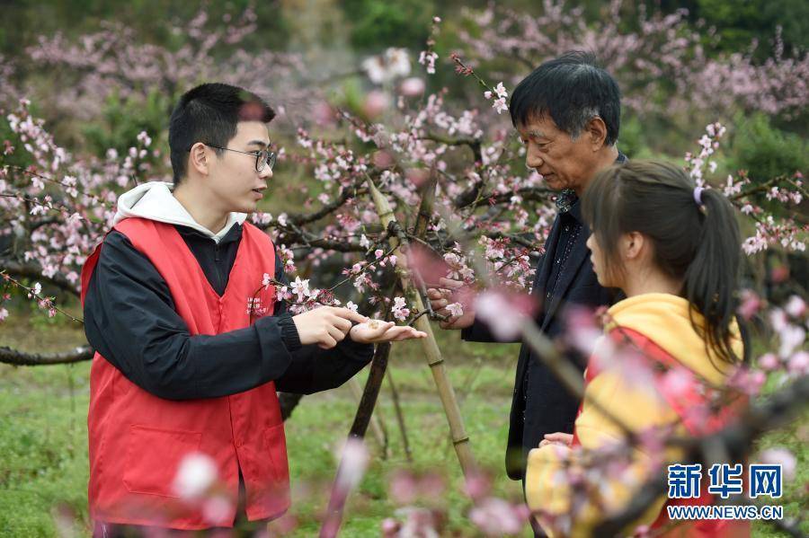 浙江诸暨:大学生回乡助农