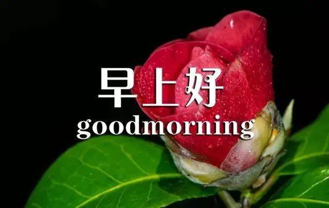 3月25日春天早上好暖心早安图片带字带问候语,春季早安问候语简短