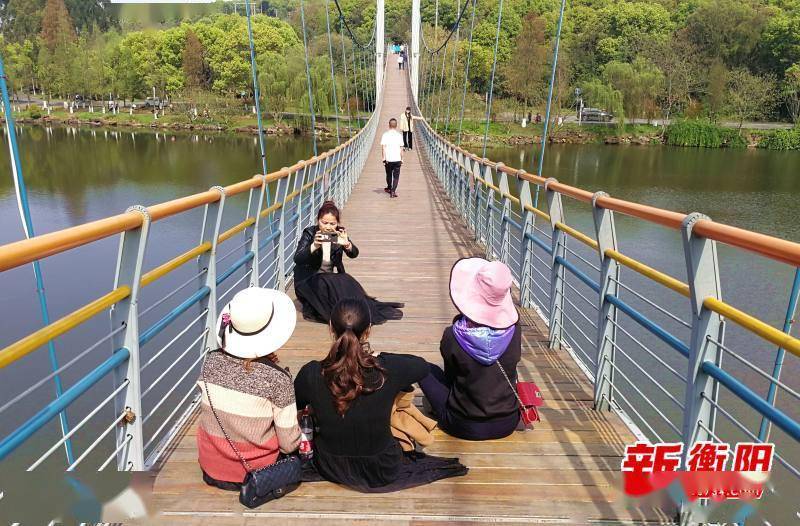 文明旅遊在雁城:南湖公園遊人如織 外地遊客點贊風景別緻_衡陽