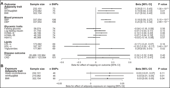 嗜睡简谱_儿歌简谱(3)