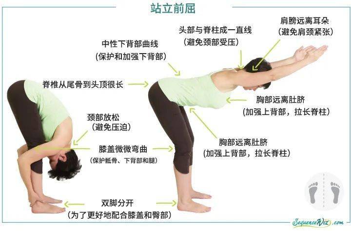 留园网 杨紫肩颈线 火速上热搜怎么练的 6park Com