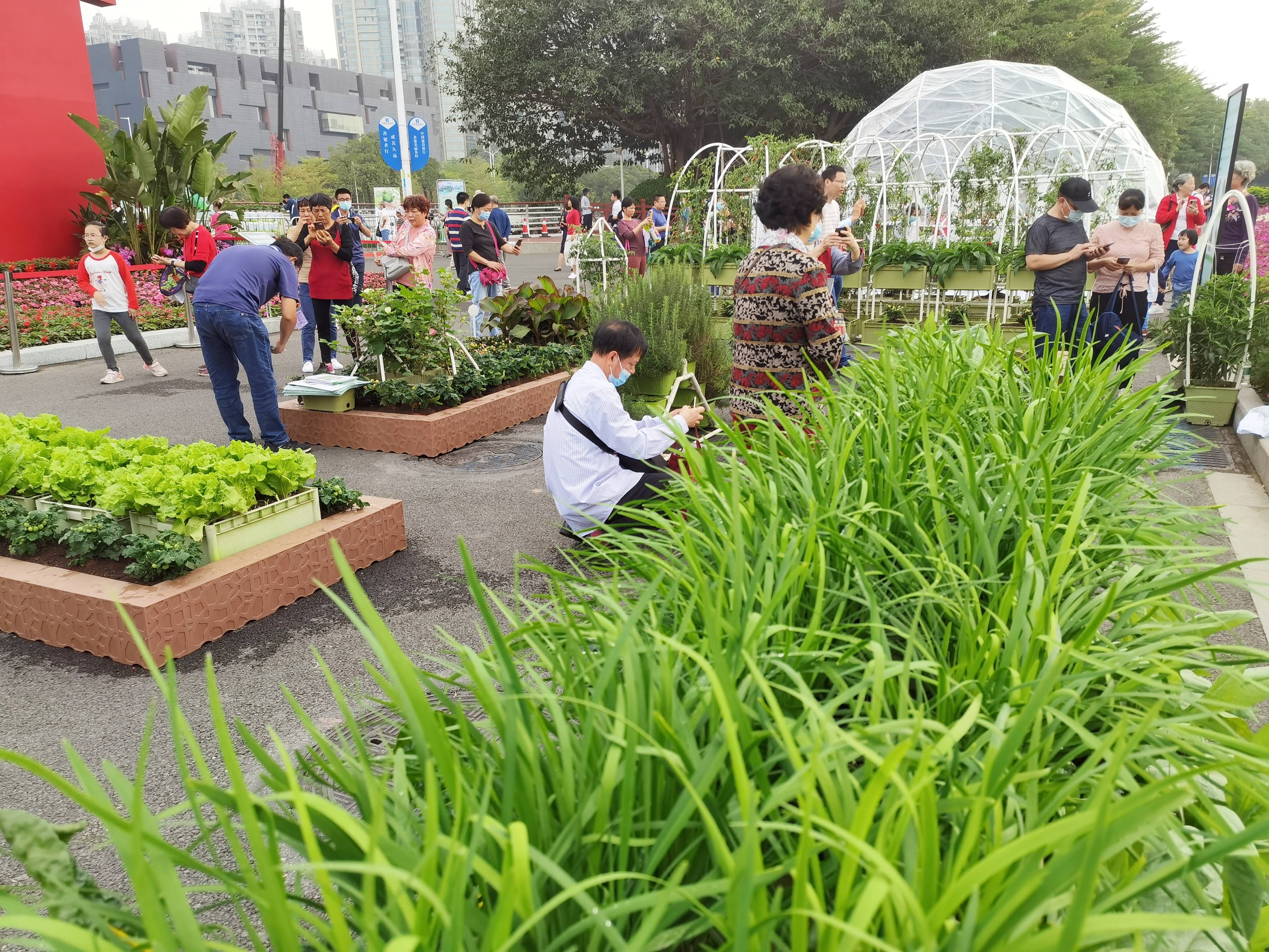 杭州·大桥村共享菜园-朴筑·空间设计事务所