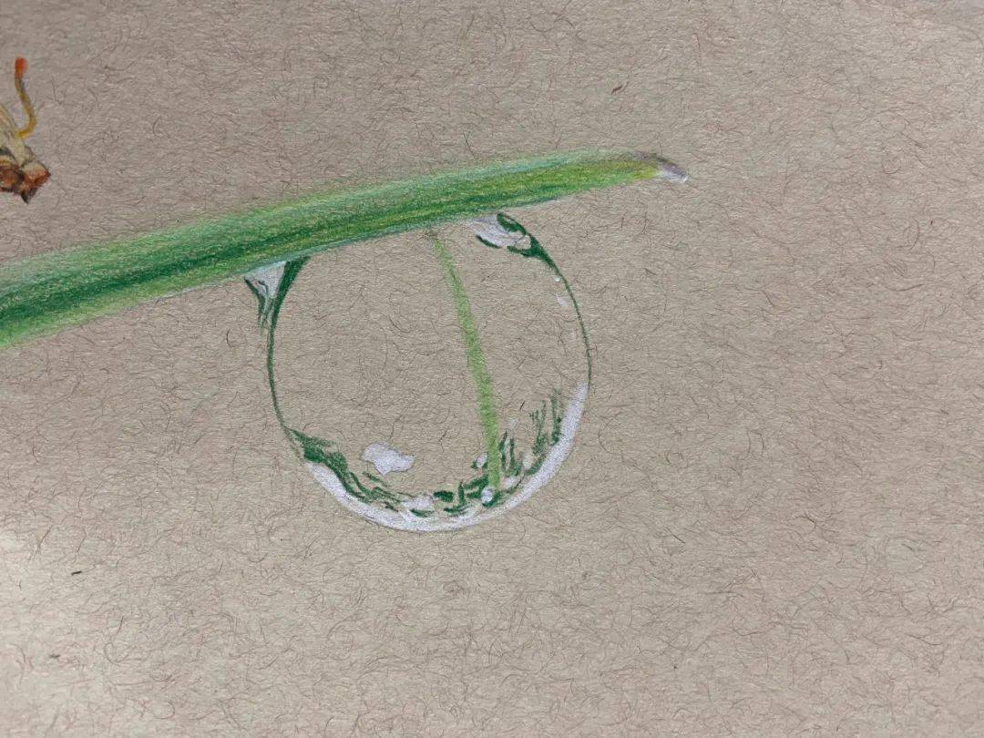 彩铅画图文教程水珠