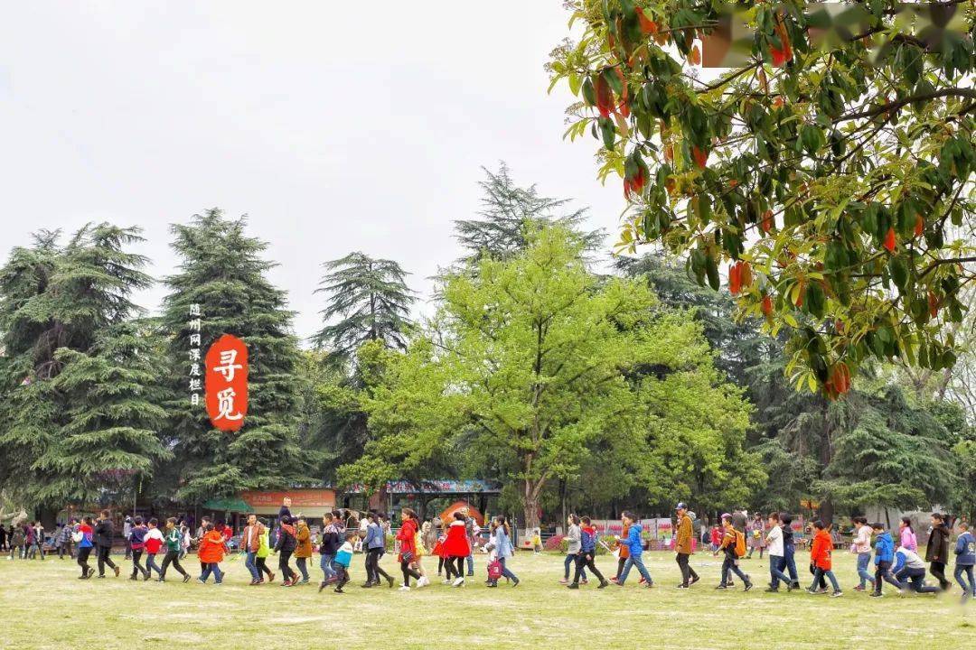 白雲公園有什麼可厲害的