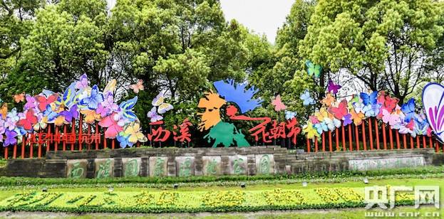 春色满园 2021杭州西溪花朝节开幕
